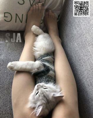 一个人的www视频