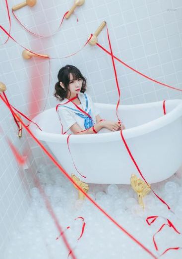 屋顶的大象