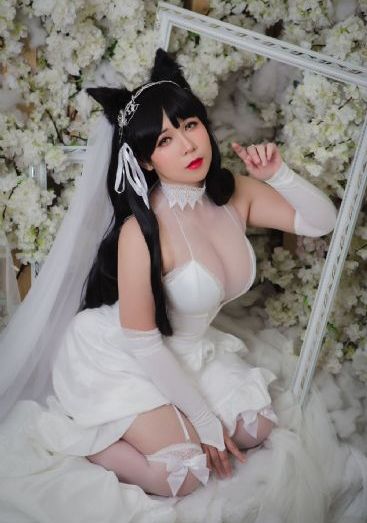完美世界高清樱花动漫
